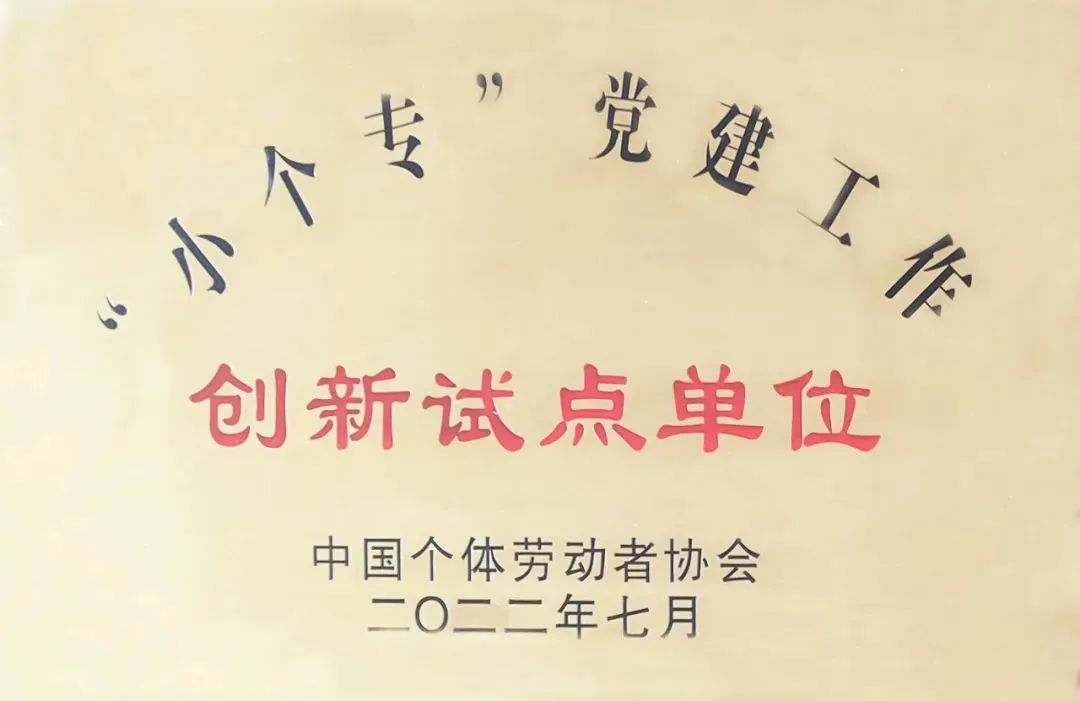 喜讯！金田阳光投资集团党总支入选全国个私协会系统“小个专”党建工作创新试点单位